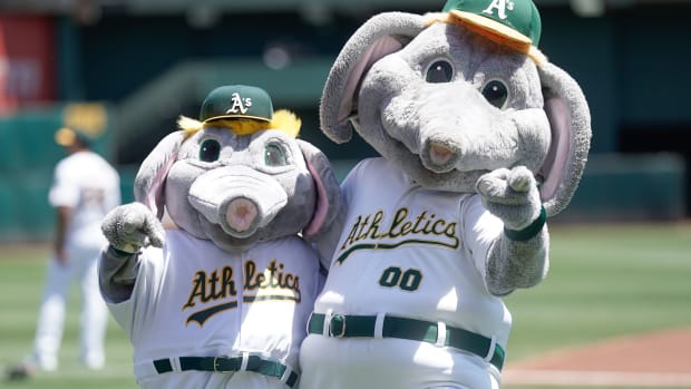 Oakland A's Mini-Stomp and Stomp 2019 (Stan Szeto) USATSI_13138448